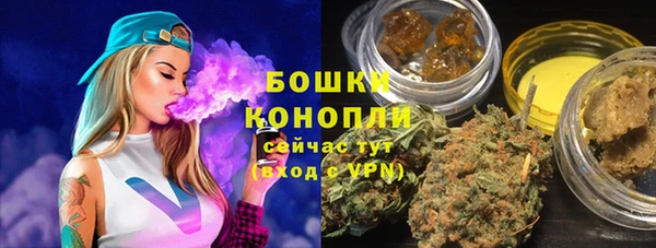 PSILOCYBIN Горно-Алтайск